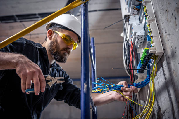 Best Electric Panel Repair  in Alexandria, MN