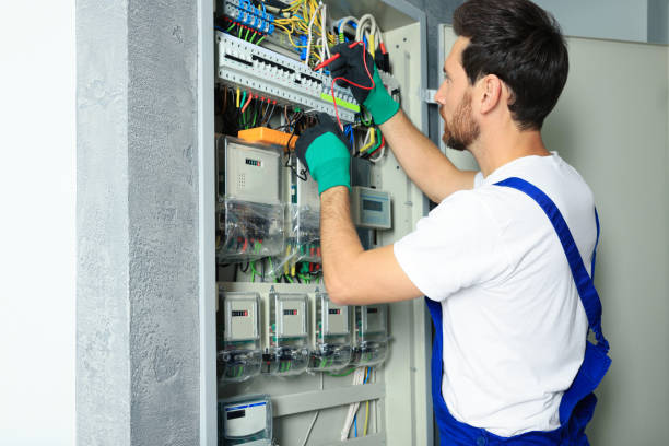 Best Residential Electrician Services  in Alexandria, MN